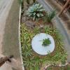 Paisagismo E Jardinagem