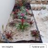 Paisagismo E Jardinagem