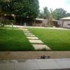 Paisagismo E Jardinagem