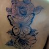 ROSAS COM BORBOLETAS