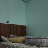 Alê Amorim Hotel Pet