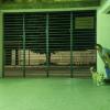 Alê Amorim Hotel Pet