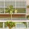 Arq Camille Guterres