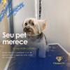 Diamond Vet Clínica Veterinária E Pet Shop