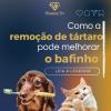 Diamond Vet Clínica Veterinária E Pet Shop