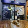 Diamond Vet Clínica Veterinária E Pet Shop