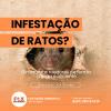 Dedetizacão Recife