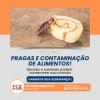 Dedetizacão Recife