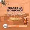 Dedetização Recife