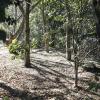 Fotógrafo E Piloto De Drone