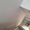 Edb Drywall Installer
