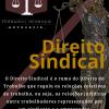 Designer Grafico