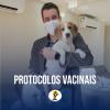 Veterinário Domiciliar 24h Em Goiânia  Dr. Yago Pereira