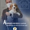 Veterinário Domiciliar 24h Em Goiânia  Dr. Yago Pereira
