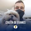 Veterinário Domiciliar 24h Em Goiânia  Dr. Yago Pereira