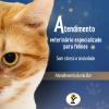 Veterinário Domiciliar 24h Em Goiânia  Dr. Yago Pereira