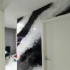 Cleber Decorartes Pintor Profissional