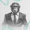 Agência Monkeys Ltda