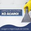 Higienização estofados em geral e couro