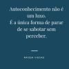 Raissa Do Nascimento Viegas