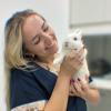 Dra Natália  Atendimento Veterinário A Domicílio