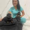 Manuela Freitas Veterinário Em Domicílio