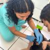 Manuela Freitas Veterinário Em Domicílio