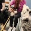 Victoria Pet Care