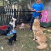 Victoria Pet Care