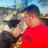 Victoria Pet Care