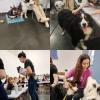 Victoria Pet Care