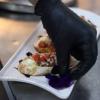 Chefe Eleomar Consultorias Gastronomicas