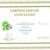 CERTIFICADO SHIATSU