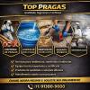 Top Pragas Prestador De Serviços Ltda