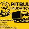 Pitbull Fretes E Mudanças