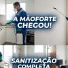 Maoforte Dedetizacao
