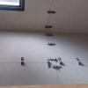 Obra Oviedo - Instalação de revestimento tipo porcelanato 60x60 - área: lavabo