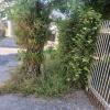 E.s Jardinagem