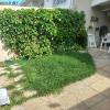 E.s Jardinagem