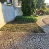 E.s Jardinagem