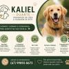 Kaliel Duarte Da Silva Zanchett