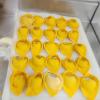 Italia Gastronomia