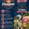Chopper Sitter Walker
