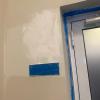 Trabajos De Pinturas