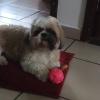 Dirce Motta Santana