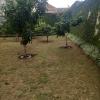 Jardinagem Souza