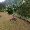 Jardinagem Souza