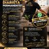 diaristas
