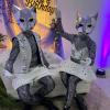 🐱✨ Gatos Espelhados