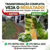 Tz Serviço De Poda E Roçagem